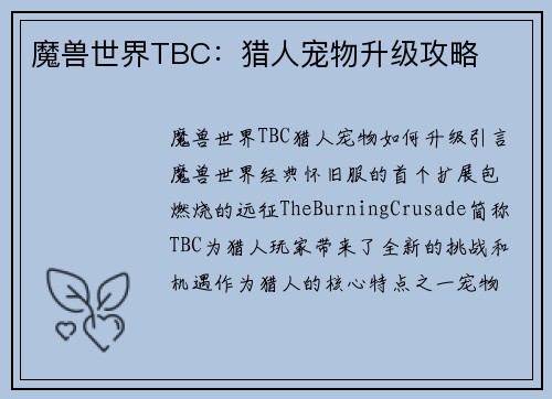 魔兽世界TBC：猎人宠物升级攻略